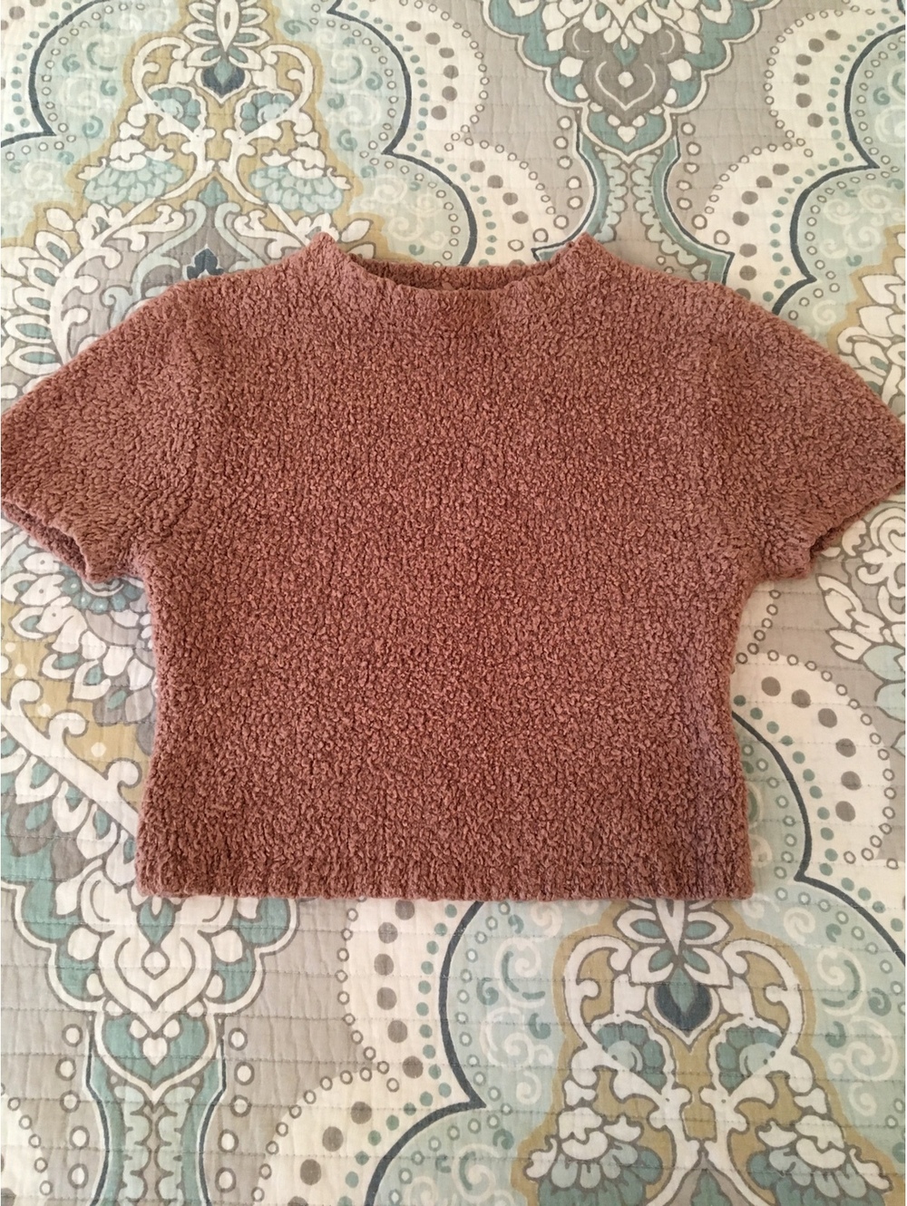 SKIMS S/M Tan Fuzzy Short Sleeve Crop Top